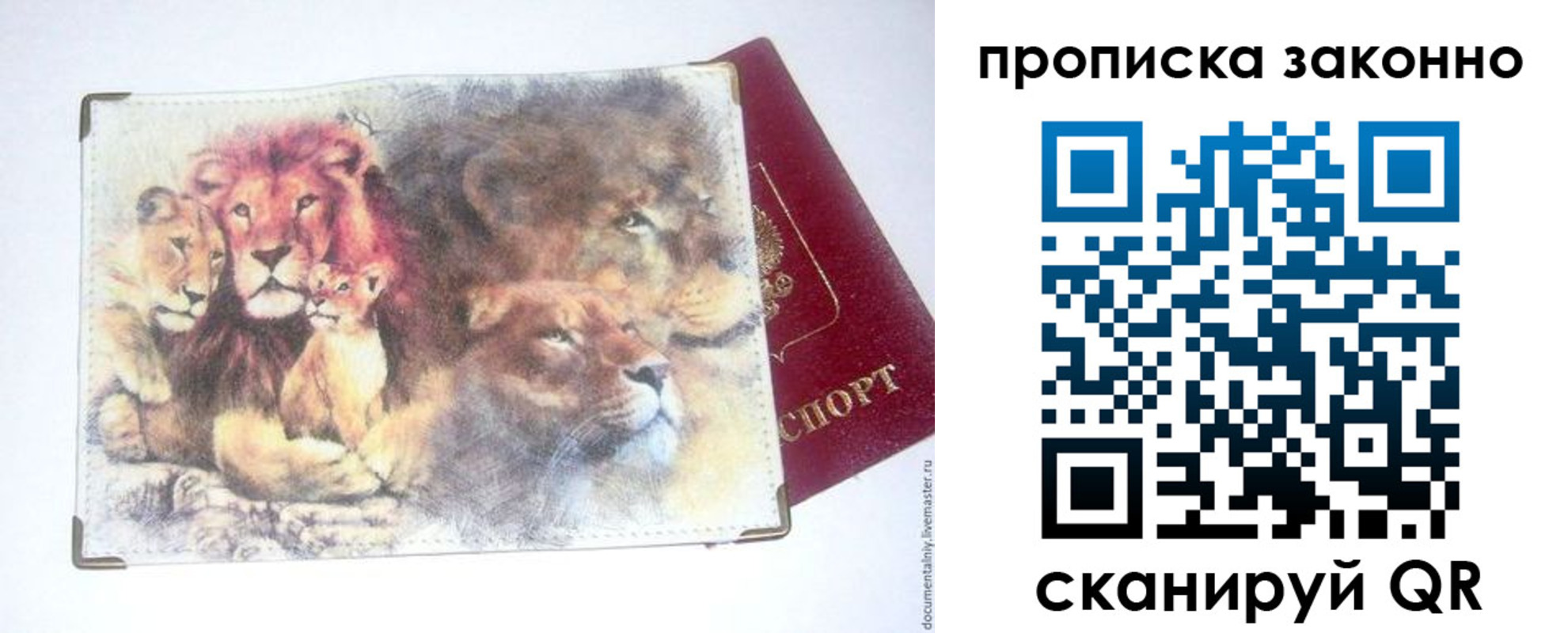 прописка от собственника в Апатитах