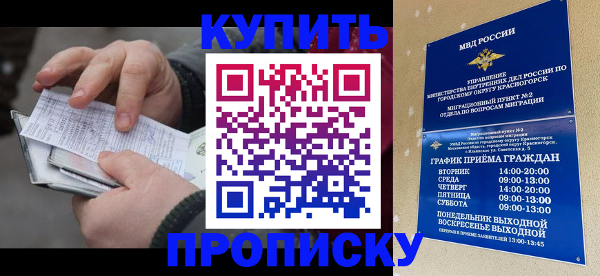 временная регистрация недорого в Апатитах